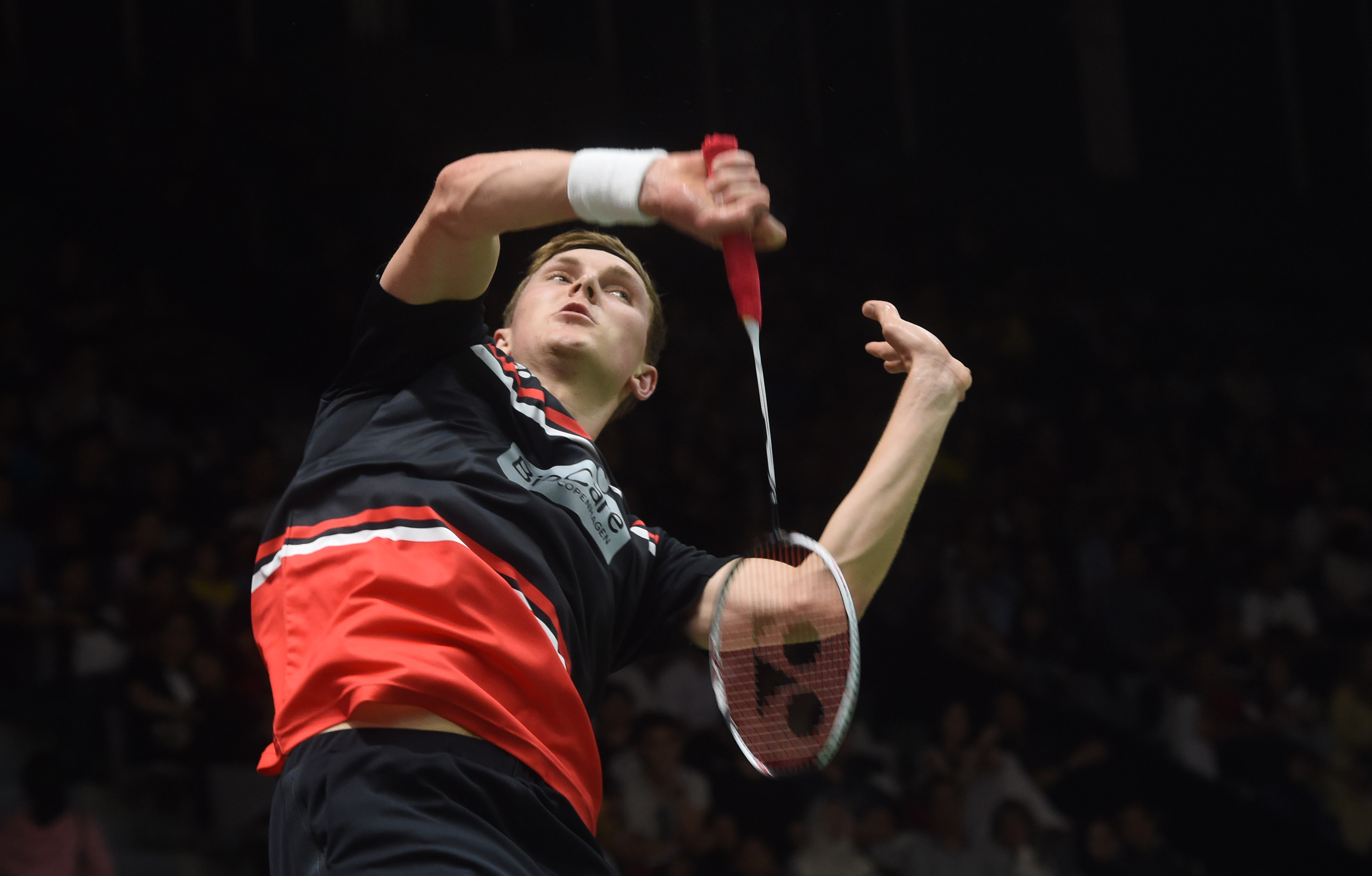 除了队员们 除了队员们