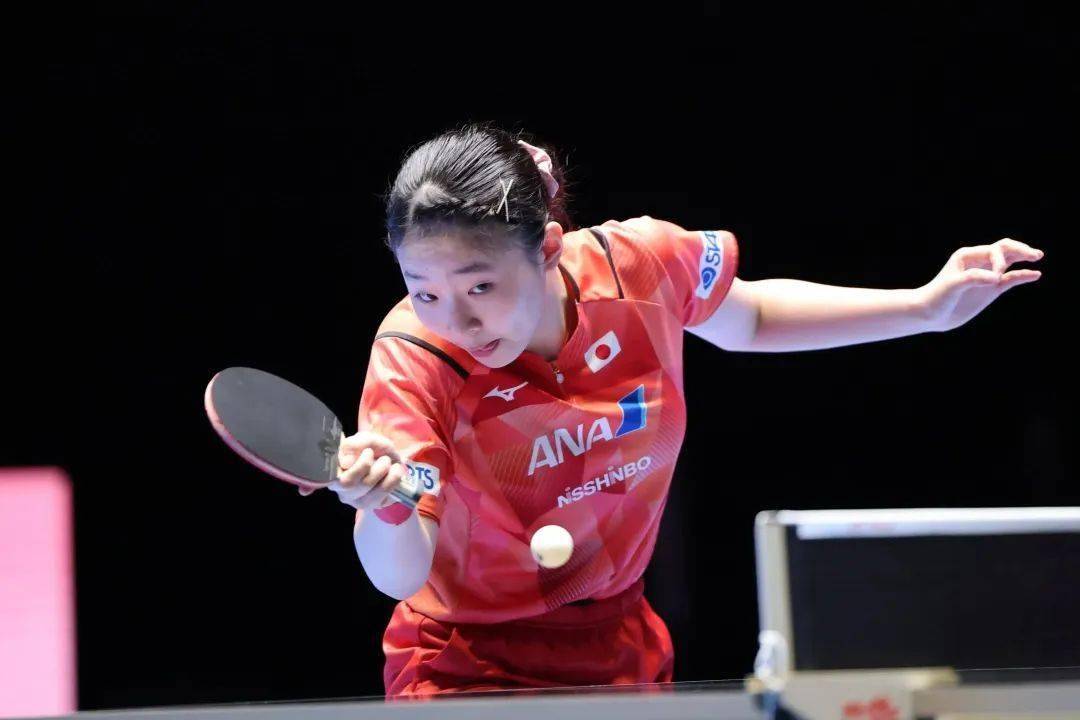 是他们必须 是他们必须