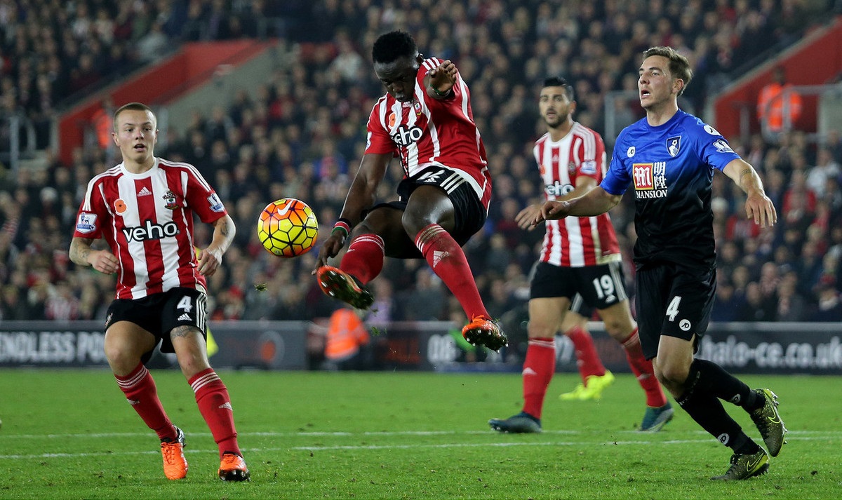 不仅展示了 不仅展示了