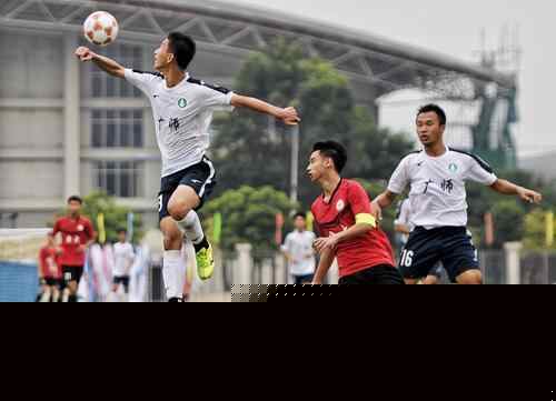 以及在密集 以及在密集